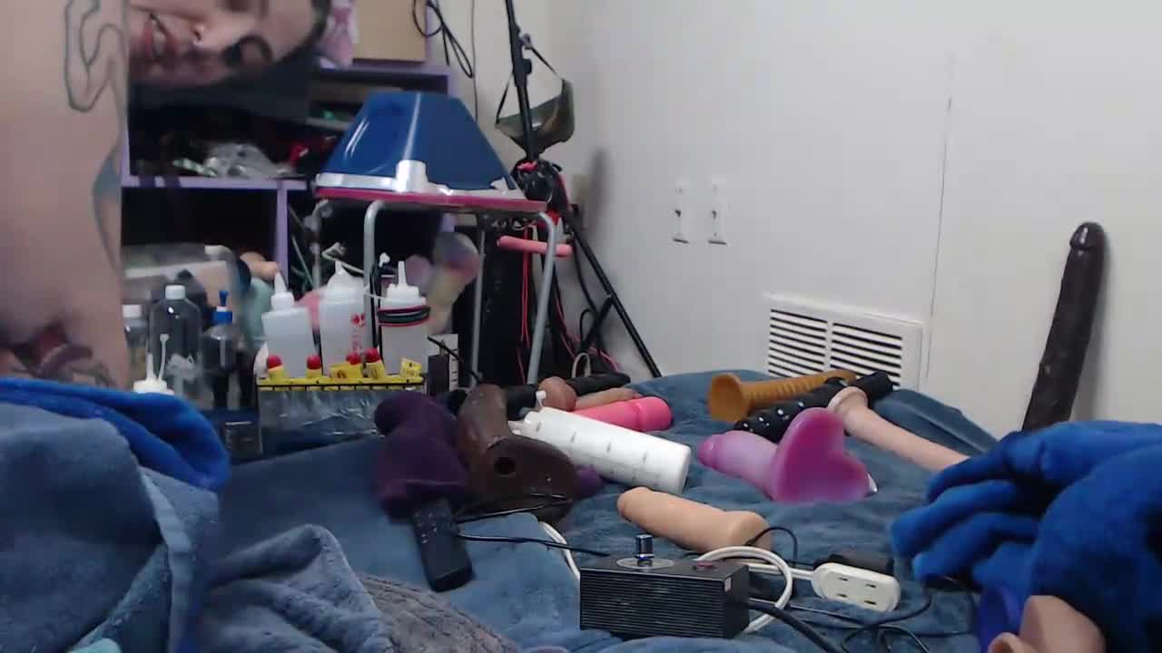 animergamergirl 2026-01-03 04:00:39