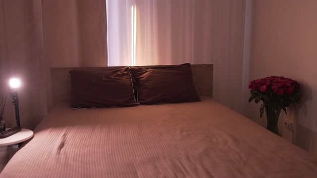 alissa_wxw 2026-02-13 11:49:20 — 2160p video