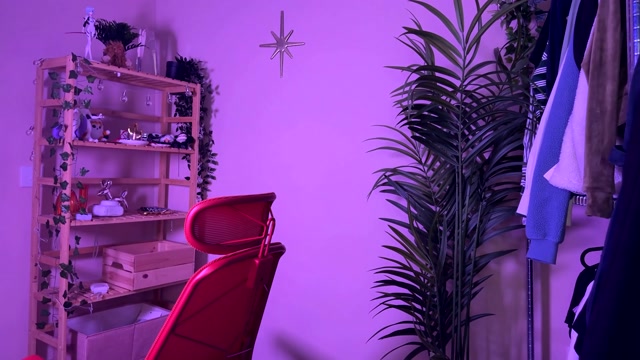 vixenp 2026-03-10 01:24:06 — 2160p video