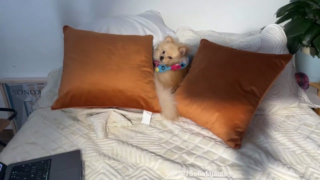 sweet_littleee 2026-03-11 20:24:48 — 1080p video