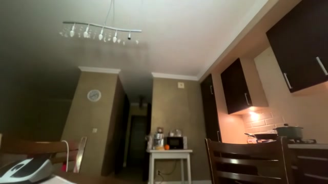 _morpho_ 2026-03-12 19:29:28 — 720p video