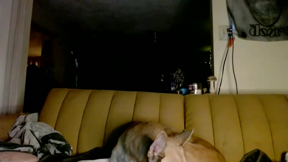 kipsy420 2026-04-10 20:28:56 — 480p video