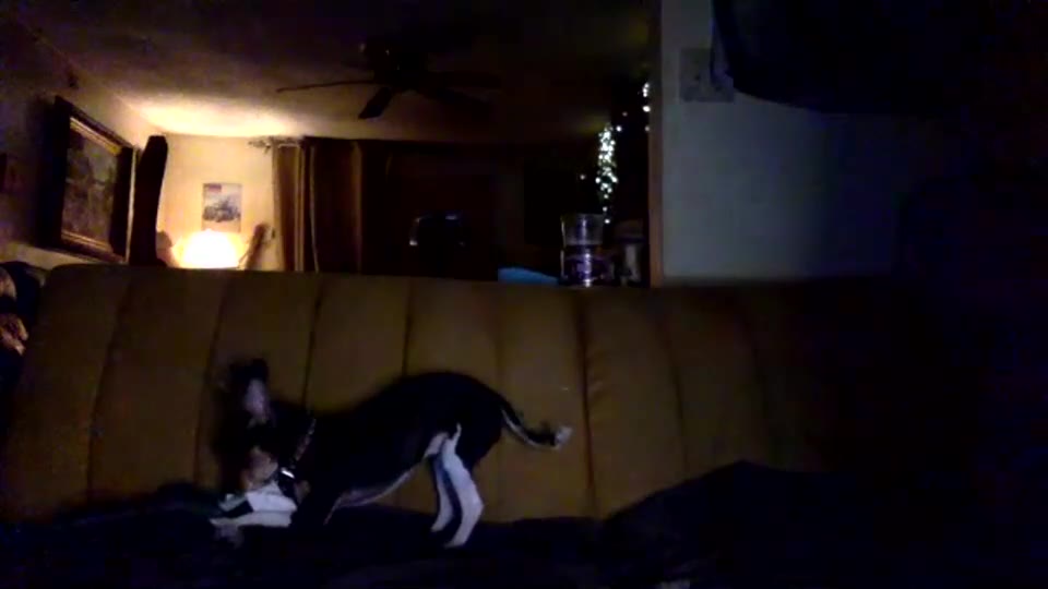 kipsy420 2026-04-10 06:06:06 — 480p video