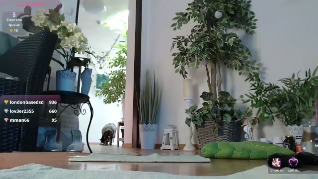 squirtmanica 2026-05-02 12:56:43 — 720p video