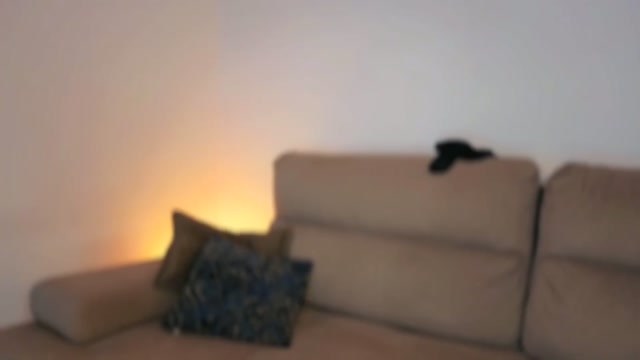 sexyyceline 2026-05-04 21:54:16 — 1080p video