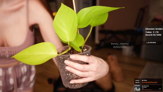 bunny_marthy 2026-05-10 22:12:23 — 1080p video