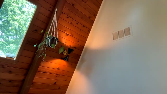 emersoncane 2026-05-15 21:58:53 — 720p video