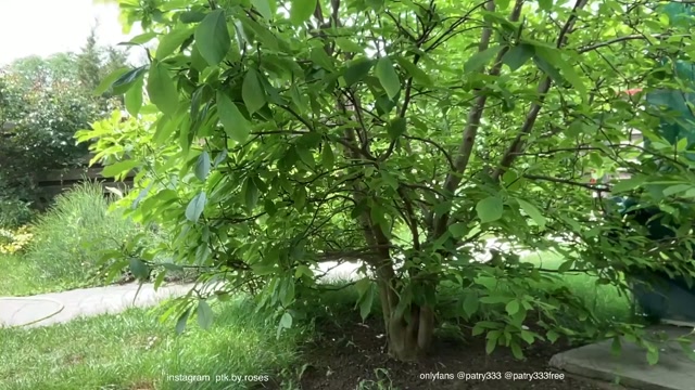 patry333 2026-05-19 11:38:27 — 1080p video