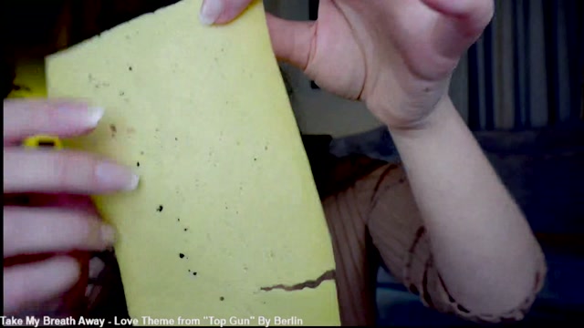 x_lily_x 2026-05-18 03:59:37 — 2160p video