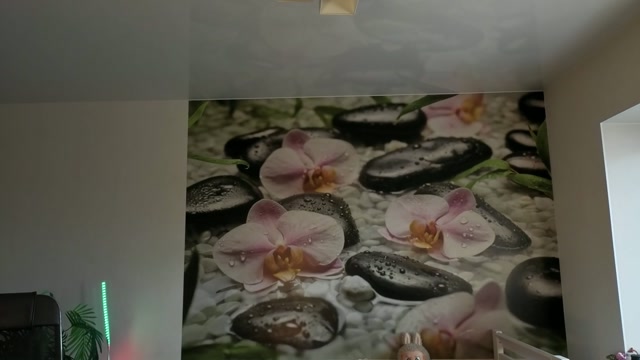 jennycutey 2026-06-04 08:58:37 — 1080p video