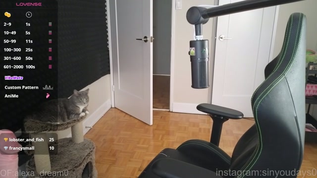 alexa_dream 2026-06-11 02:17:04 — 1080p video