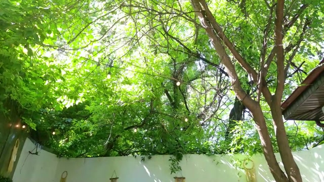 babesgowild 2026-06-16 11:34:15 — 1080p video