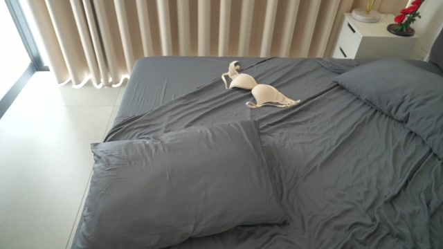 naughtysammx 2026-06-18 23:34:23 — 1080p video