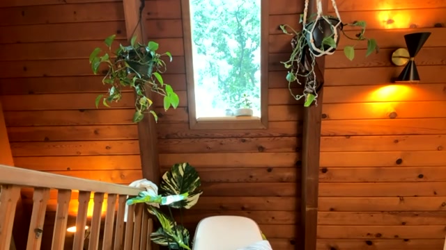 emersoncane 2026-06-27 01:11:28 — 720p video