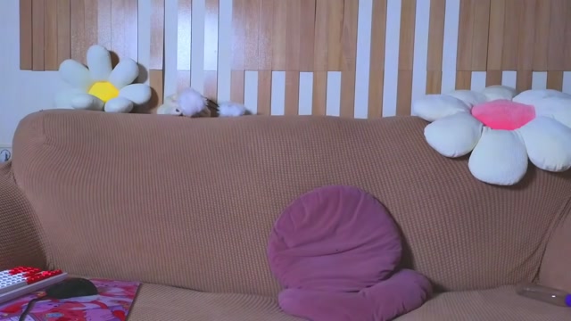 sweet_69billy 2026-06-30 12:33:27 — 720p video