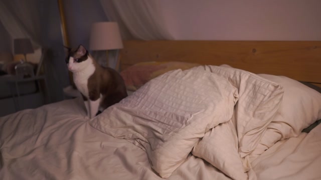 ladysweet_x 2026-07-13 12:15:50 — 1080p video