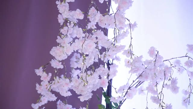 noreenbeckey 2026-07-19 18:33:48 — 1080p video