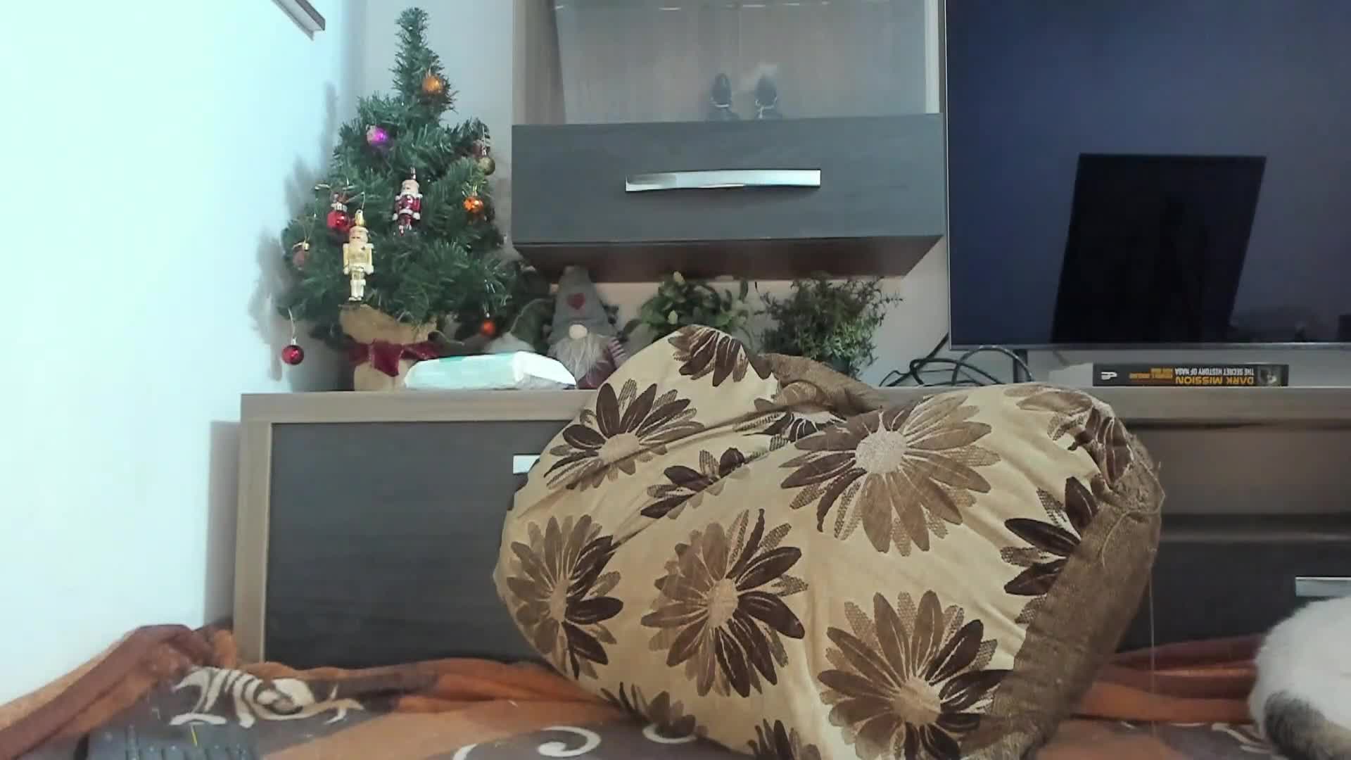 mellbell_ 2025-12-12 03:36:39