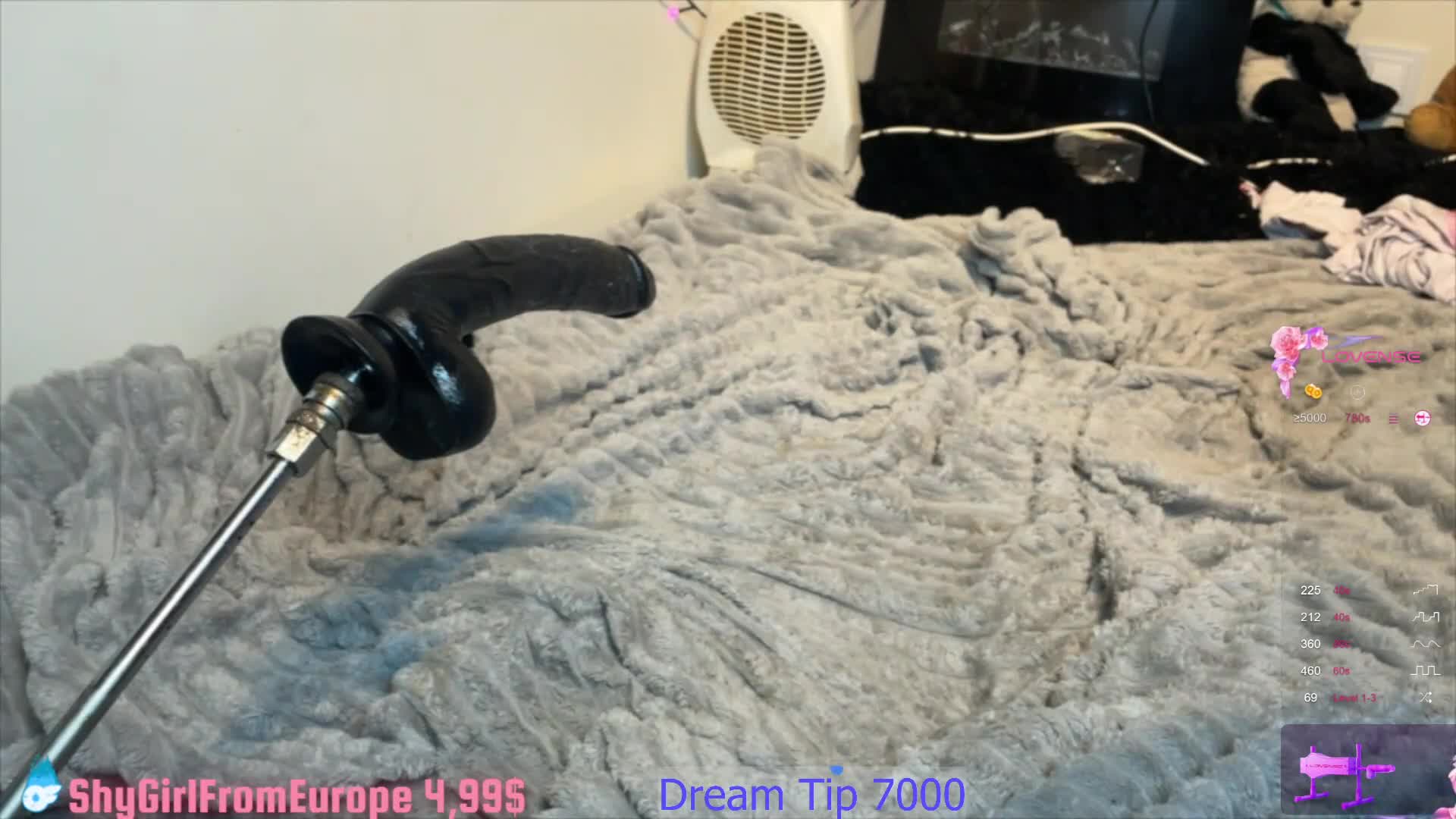 shygirlfromeurope 2025-11-09 09:00:09