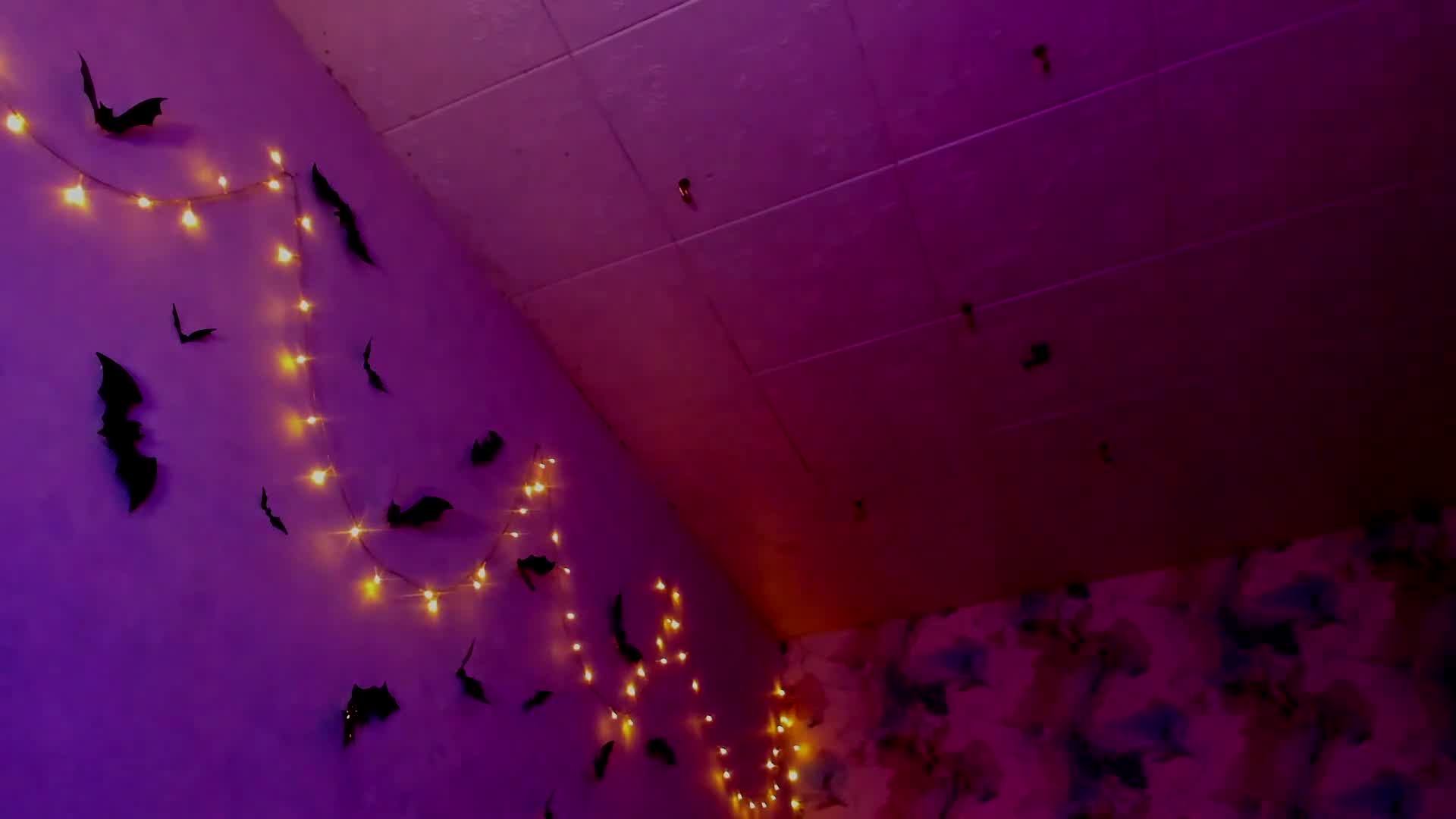 tits_your_dreams 2025-10-14 07:28:31