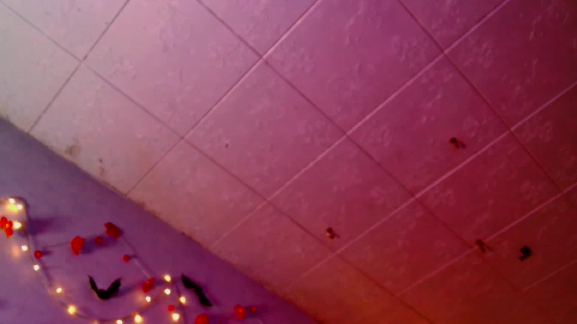 tits_your_dreams 2025-11-18 10:17:27