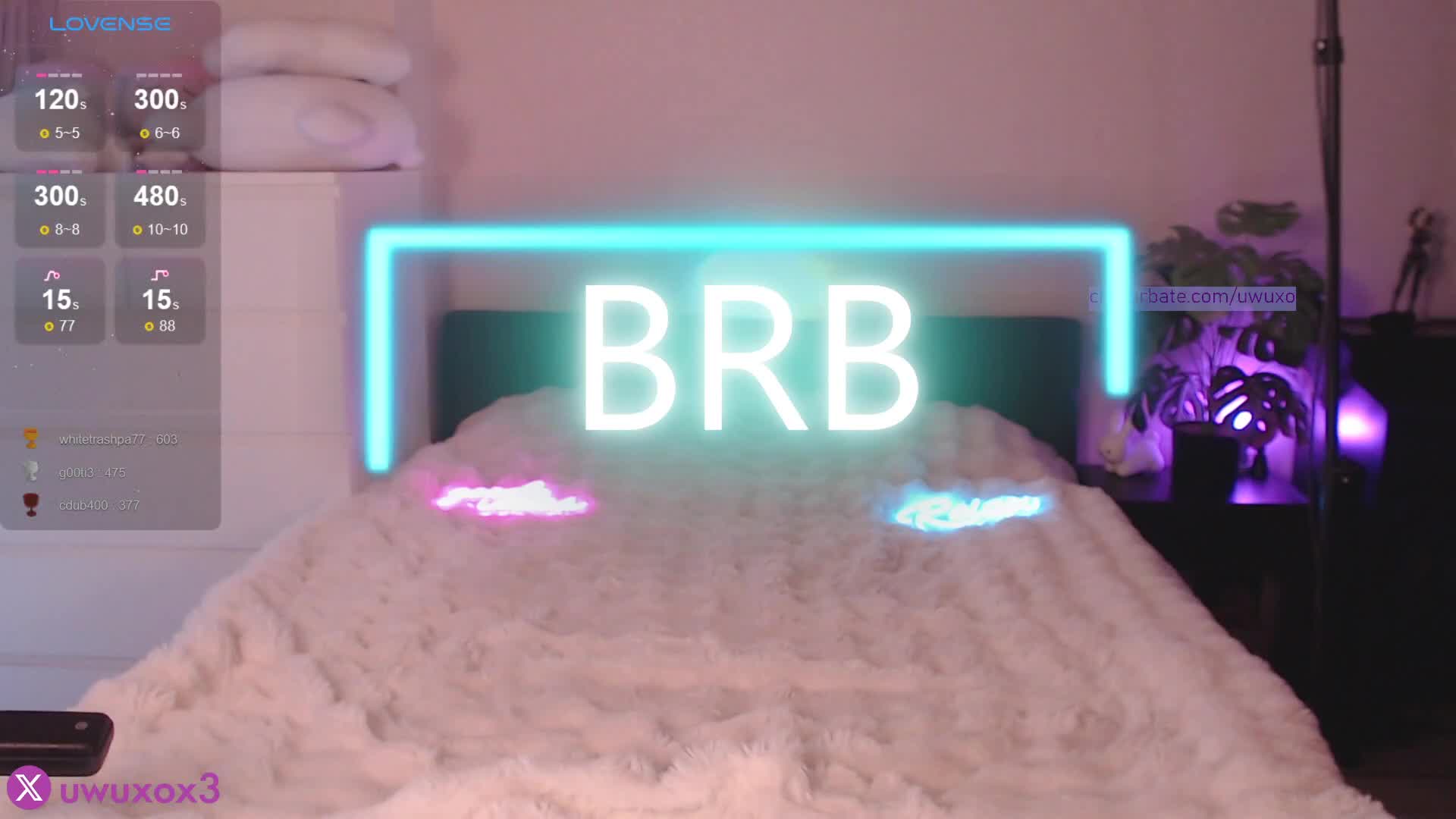 uwuxo 2025-12-28 08:33:34