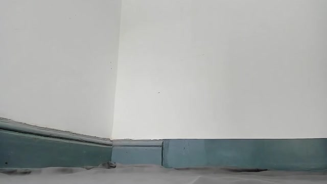 camila_berk 2026-03-26 21:37:09