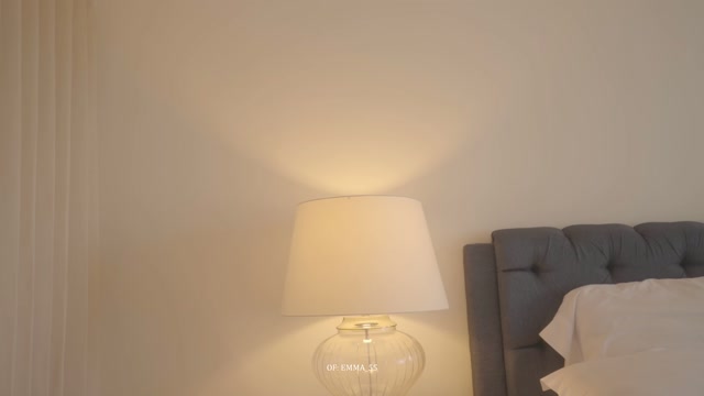 emma_lu1 2026-03-29 21:55:37