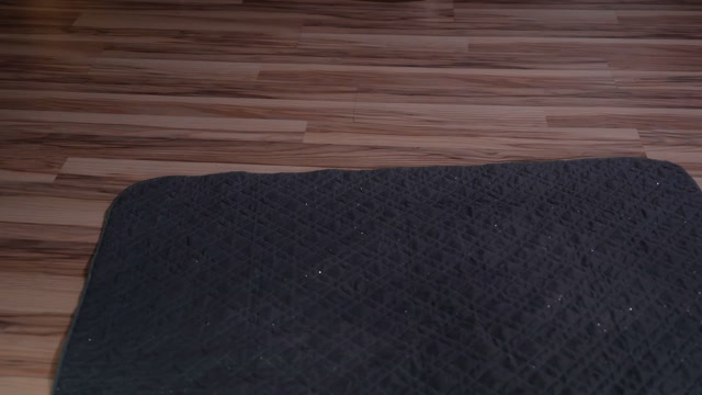 kittycaitlin 2026-03-28 01:11:45