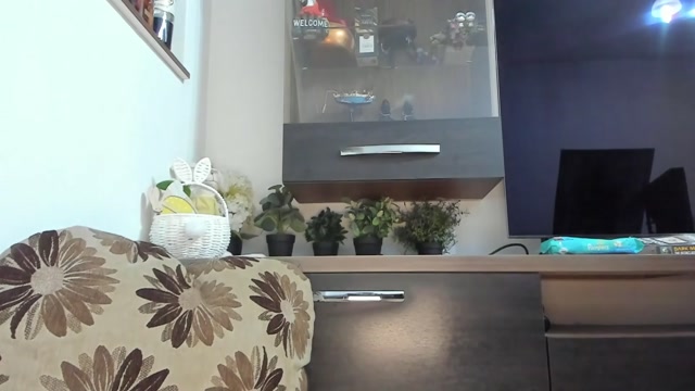 mellbell_ 2026-03-24 03:56:51