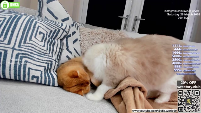 sweet_ary 2026-03-28 01:24:59