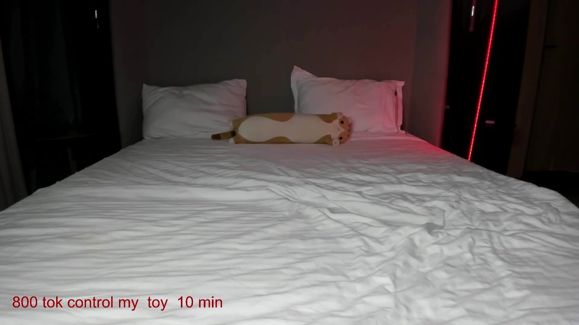 carolinaherera 2026-04-14 22:04:28