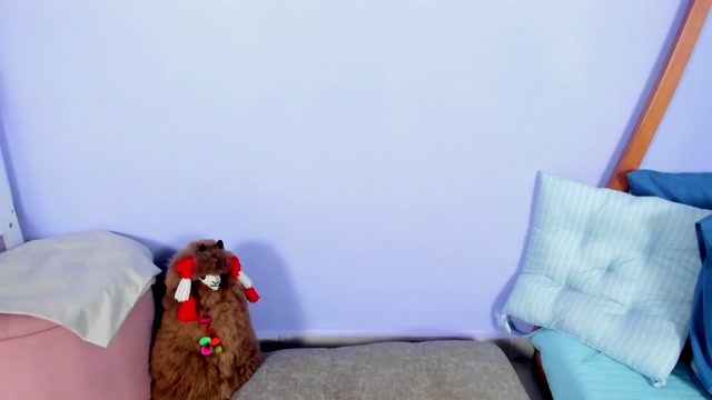 frank_sasha 2026-04-21 12:45:18