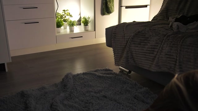 shyakemi 2026-04-16 22:42:04