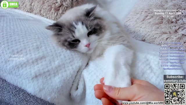 sweet_ary 2026-04-12 20:30:43