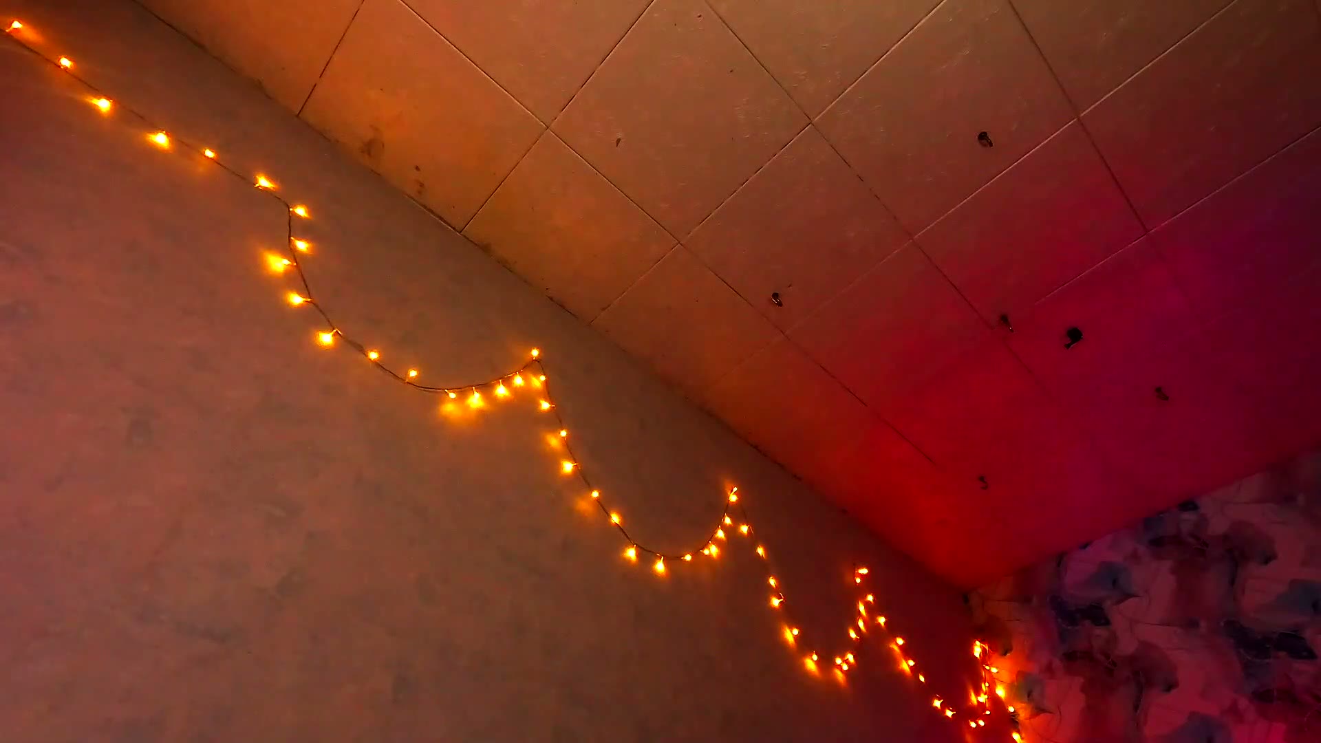 tits_your_dreams 2026-04-22 05:38:11